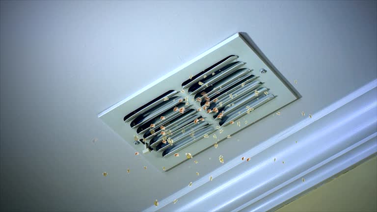 Best Commercial Air Duct Cleaning  in Sunrise Manor, NV
