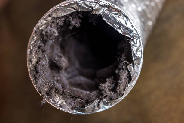Best Home Air Vent Cleaning  in Sunrise Manor, NV